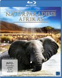  - Circle of Life - Baby Planet (Blu-ray) [Special Edition]