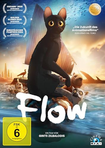 DVD - Flow