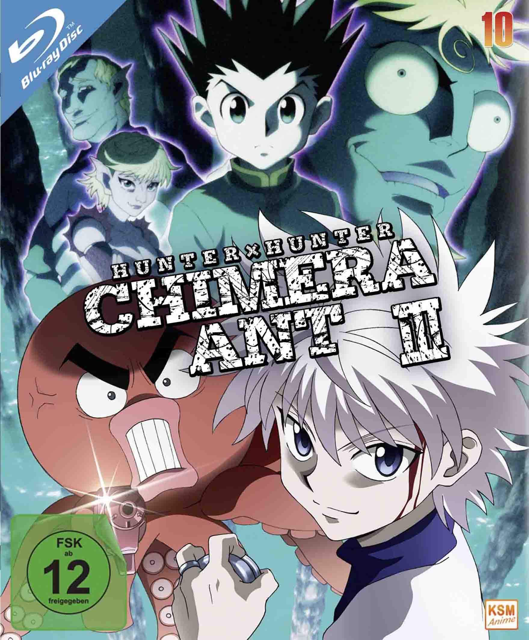 Blu-ray - HUNTERxHUNTER Vol. 10 - Arc VI: Chimera Ant III (Episode 101-112)