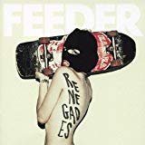 Feeder - Polythene