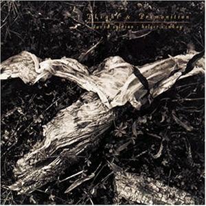 Sylvian ,  David - Phight and premonition