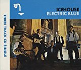 Icehouse - Great southern land