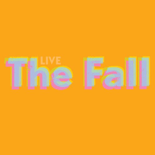 the Fall - Live