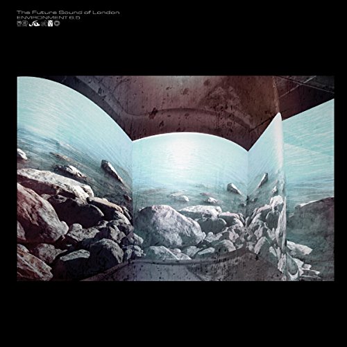 Future Sound Of London - Environments Vol.6.5