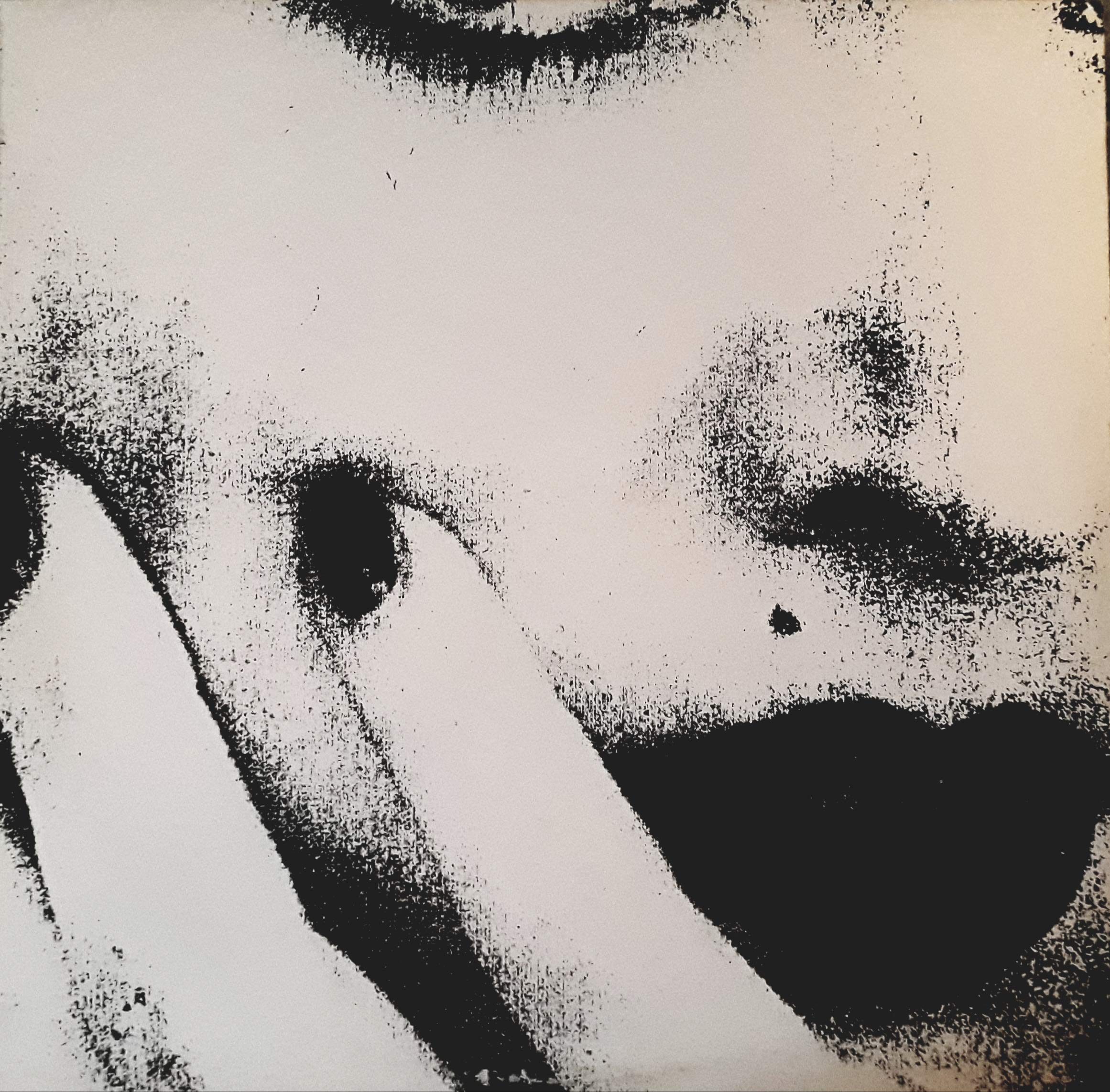 Ciccone Youth - The Whitey Album (Vinyl)