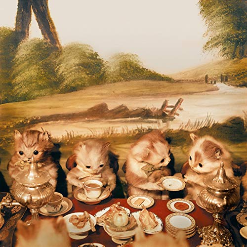 Piano Magic - Low Birth Weight [Vinyl LP]