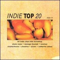 Various - Indie Top 20 Vol.13