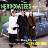 Thee Headcoatees - Have Love Will Travel