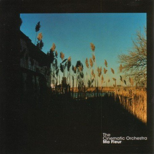 the Cinematic Orchestra - Ma Fleur (Deluxe 2lp+Mp3) [Vinyl LP]