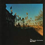 Cinematic Orchestra , The - To Believe (Vinyl)