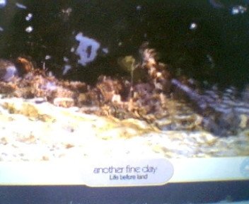 Another Fine Day - Life before Land