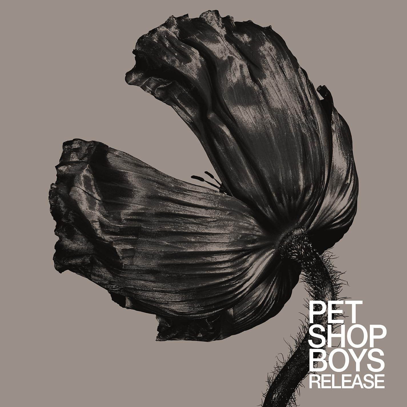 Pet Shop Boys - Release (Remastered)