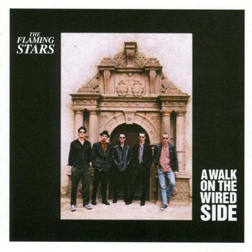 Flaming Starts , The - A walk on the wired side