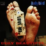 Babybird - The Pleasures of Self Destruction