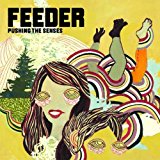 Feeder - Polythene