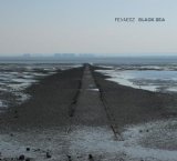 Fennesz - Endless Summer