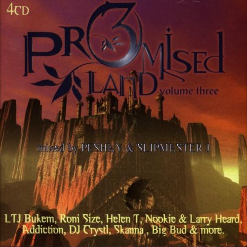 Various - Promised Land Vol.3/Mixed By P