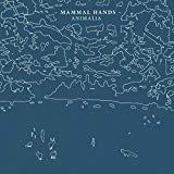 Mammal Hands - Shadow Work