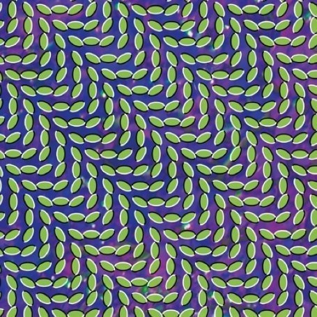 Animal Collective - Merriweather Post Pavilion