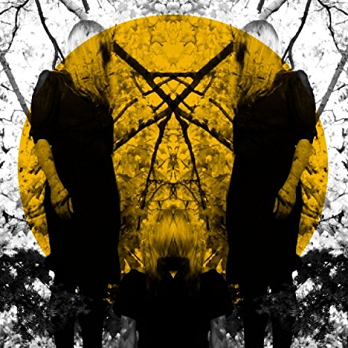 Austra - Feel It Break [Vinyl LP]