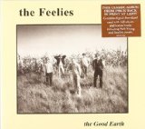 the Feelies - Crazy Rhythms