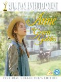 DVD - Anne auf Green Gables - Staffel 1 (Remastered)