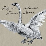 Sufjan Stevens - Illinoise [Vinyl LP] [Vinyl LP]