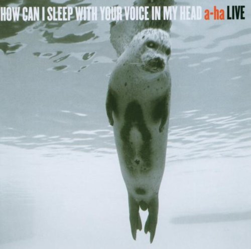 a-ha - How Can I Sleep With Your Voice In My Head - Live