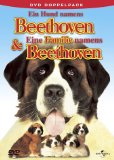 DVD - Ein schweinchen names babe & babe in der großen stadt