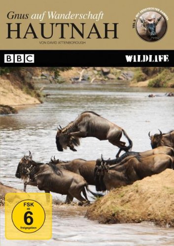 - Hautnah - Gnus auf Wanderschaft