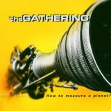 Gathering , The - Nighttime birds