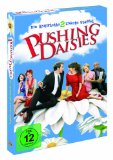 DVD - Pushing Daisies - Staffel 1