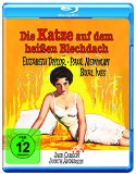 DVD - Mr. Wonderful