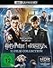 Blu-ray - Wizarding World Collection Ultra HD (Harry Potter / Phantastische Tierwesen) (11-Film Collection)