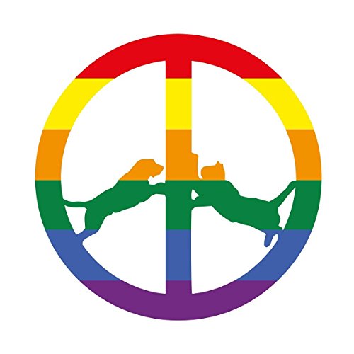 Harold 'Hype' Williams - Rainbow Edition (Lp+Mp3) [Vinyl LP]