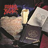 Morbid Angel - Domination [Vinyl LP]