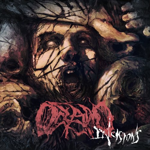 Oceano - Incisions