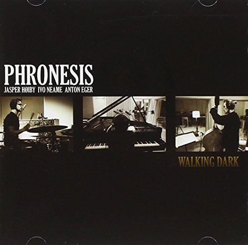 Phronesis - Walking Dark