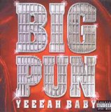 Terror Squad - The album