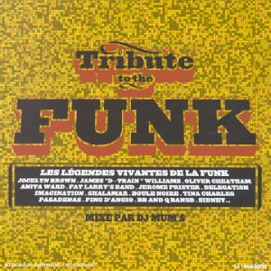 Various - Tribute to the Funk-Ext.of