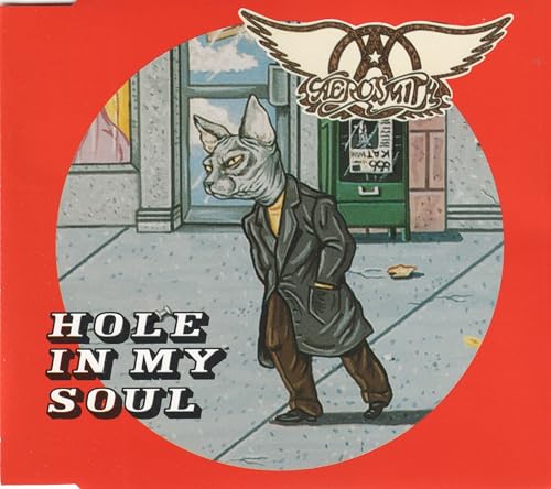 Aerpsmith - Hole in my Soul (Limited Fan Edition) (Maxi)