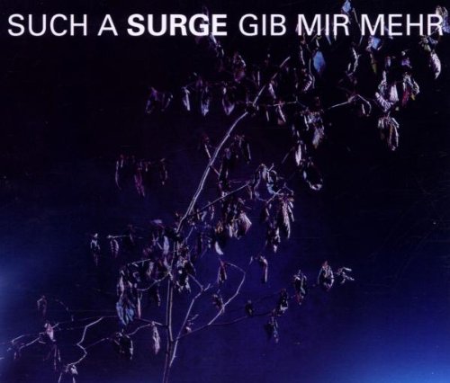 Such a Surge - Gib mir mehr (Maxi)