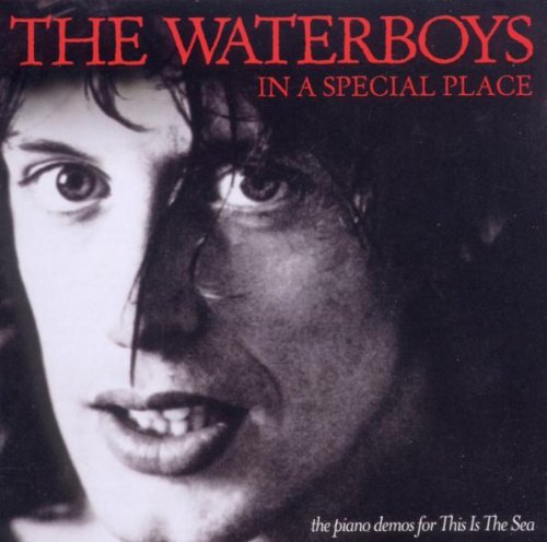 the Waterboys - In a Special Place (the Piano