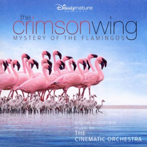 the Cinematic Orchestra - The Crimson Wing-Mystery of the Flamingos