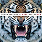Thirty Seconds to Mars - A Beautiful Lie (Vinyl) [Vinyl LP]