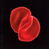 Gabriel , Peter - Hit - The Definitive Two CD Collection