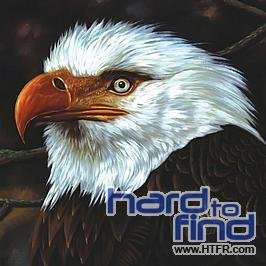 Mogwai - The Hawk Is Howling [Vinyl LP]