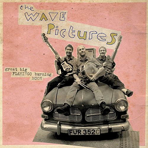 the Wave Pictures - Great Big Flamingo Burning Moon