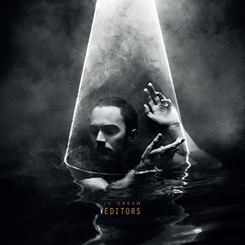 Editors - In Dream (Vinyl)