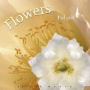 Palash - On a Day Like This